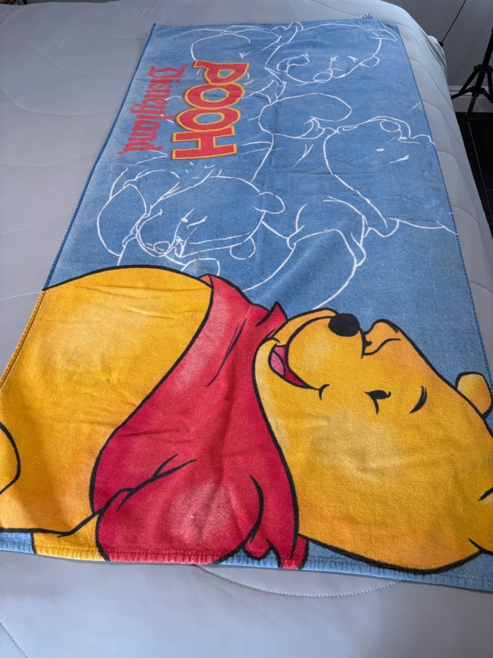 Disneyland VTG Winnie the Pooh Beach Towel Disneyland